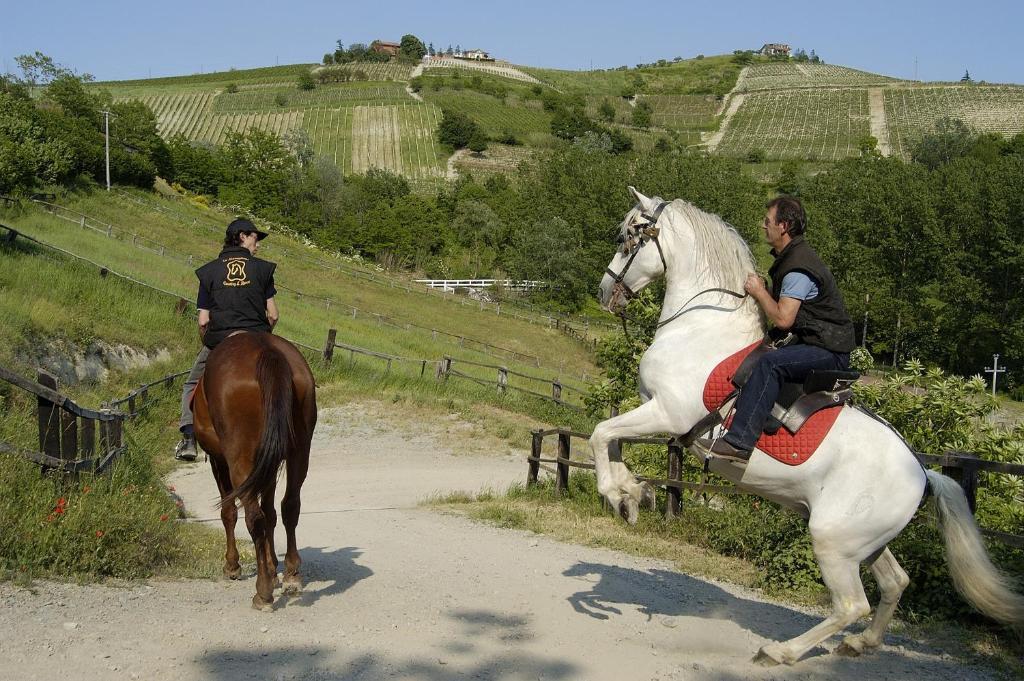 Castel Rocchero La Maraglianaアパートホテル エクステリア 写真